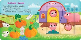 Na wsi Podwójne okienka Otwórz i sprawdź! Książeczka z okienkami Aksjomat