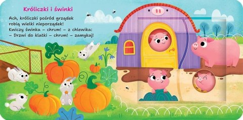 Na wsi Podwójne okienka Otwórz i sprawdź! Książeczka z okienkami Aksjomat