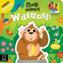 Otwórz okienko! W dżungli Książeczka pop-up Aksjomat