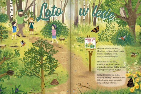 Pory roku krok po kroku książka przyrodnicza z rozkładanymi stronami