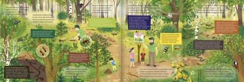 Pory roku krok po kroku książka przyrodnicza z rozkładanymi stronami