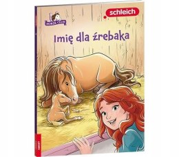 Schleich Horse Club Imię dla źrebaka Ameet