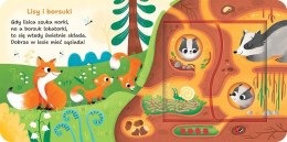 W Lesie Podwójne okienka Otwórz i sprawdź! Książeczka z okienkami Aksjomat