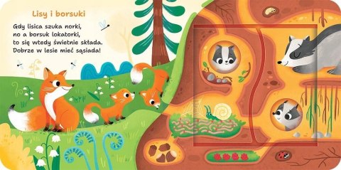 W Lesie Podwójne okienka Otwórz i sprawdź! Książeczka z okienkami Aksjomat