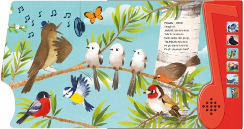 Wiersze do słuchania Ptasie radio Julian Tuwim Książka dźwiękowa