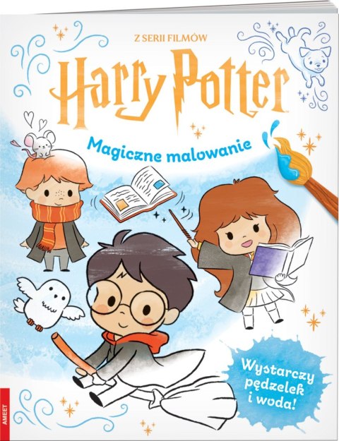 Wizarding World Magiczne malowanie Ameet Harry Potter