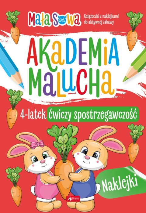 Akademia malucha 4 latek ćwiczy spostrzegawczość Dragon