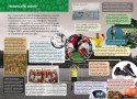 Mała encyklopedia Piłka nożna Skrzat Fakty Ciekawostki