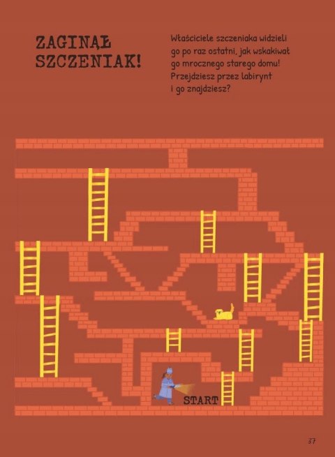 Mały detektyw Znajdź, sprawdź, zgadnij 5+ Bookolika Zagadki Łamigłówki