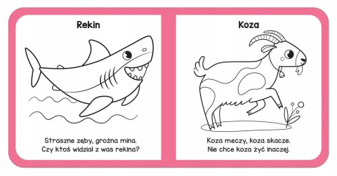 Mały miś to lubi! Zabawy logopedyczne Dobieranki + książeczka Aksjomat