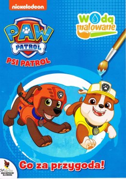 OUTLET Wodą malowane 6 Psi Patrol Wodna Malowanka