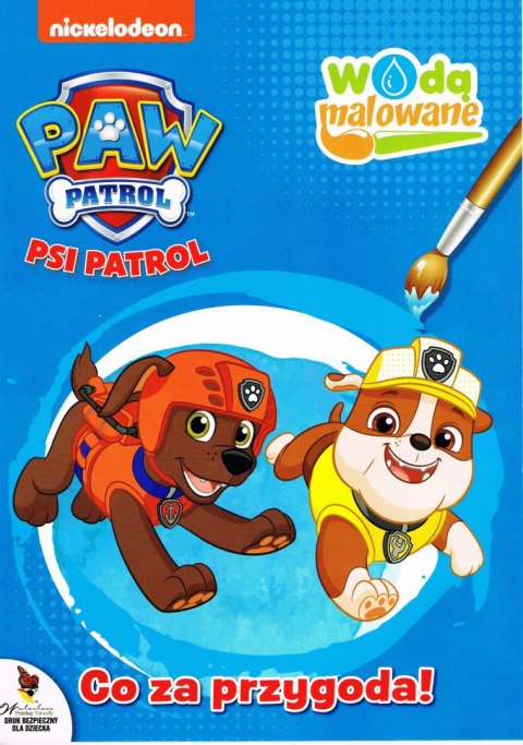 OUTLET Wodą malowane 6 Psi Patrol Wodna Malowanka