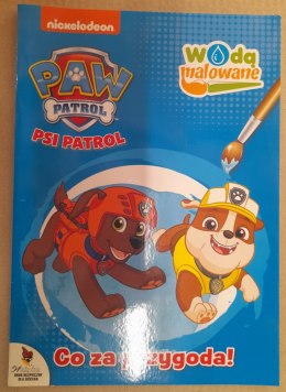 OUTLET Wodą malowane 6 Psi Patrol Wodna Malowanka