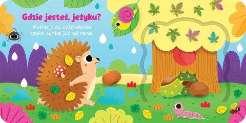 Otwórz okienko! Gdzie jesteś, jeżyku? Aksjomat Książeczka z okienkami