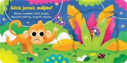 Otwórz okienko! Gdzie jesteś, małpko? Aksjomat Książeczka z Okienkami