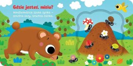 Otwórz okienko! Gdzie jesteś, misiu? Aksjomat Książeczka z Okienkami