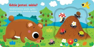 Otwórz okienko! Gdzie jesteś, misiu? Aksjomat Książeczka z Okienkami
