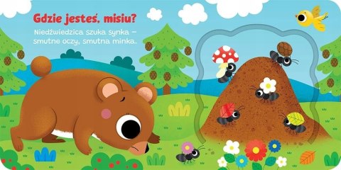 Otwórz okienko! Gdzie jesteś, misiu? Aksjomat Książeczka z Okienkami