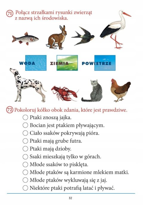 Pierwszoteścik Testy kompetencji klasa 1 Bookolika Pierwszoklasisty