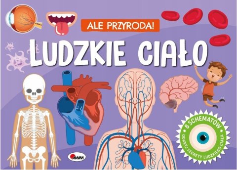 Ale Przyroda Ludzkie Ciało Książka Przestrzenna z Okienkami dla dzieci