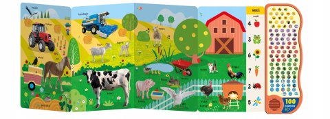 Ale wrzawa Słuchamy i szukamy 100 dźwięków Książka dźwiękowa