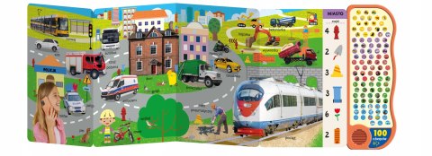 Ale wrzawa Słuchamy i szukamy 100 dźwięków Książka dźwiękowa