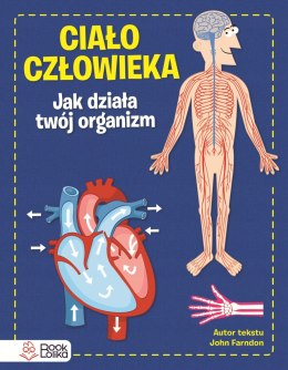 Ciało człowieka Jak działa Twój organizm? Bookolika