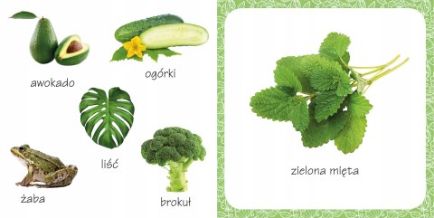 Co tak pachnie? Kolory 6 Zapachów