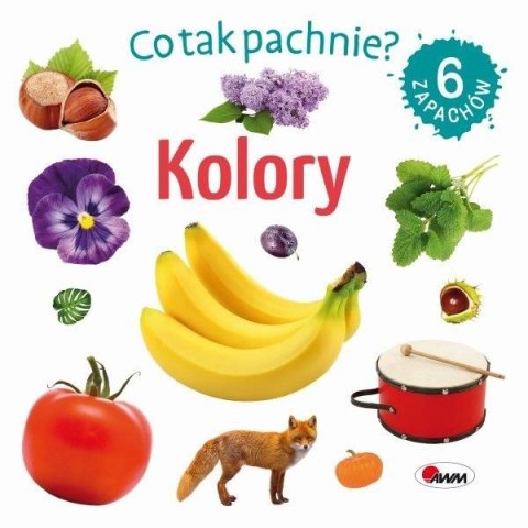 Co tak pachnie? Kolory 6 Zapachów