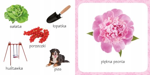 Co tak pachnie? Ogród 6 Zapachów