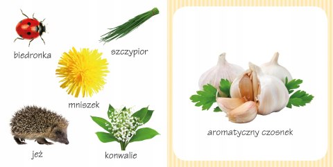 Co tak pachnie? Ogród 6 Zapachów