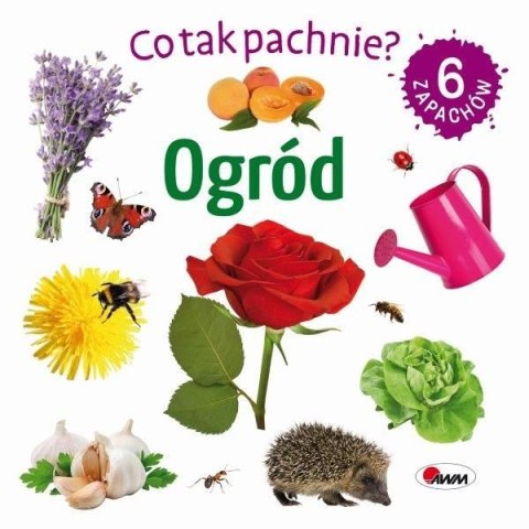 Co tak pachnie? Ogród 6 Zapachów