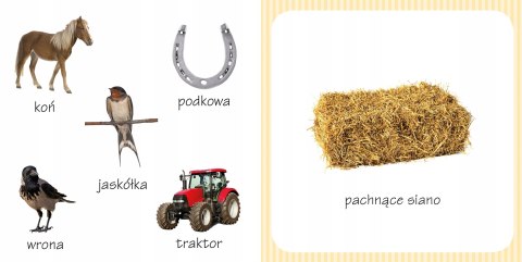 Co tak pachnie? W zagrodzie 6 Zapachów