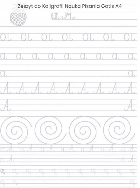 Kaligrafia 16 kartek Ćwiczenia A4 Literki Nauka Pisania