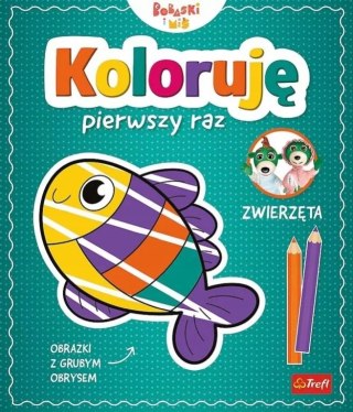 Koloruję Pierwszy Raz Zwierzęta Bobaski i Miś