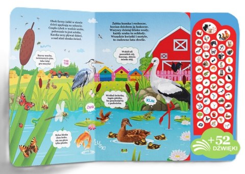 Książka dźwiękowa Zwierzęta na Farmie na Wsi 52 dźwięki Wieś Farma