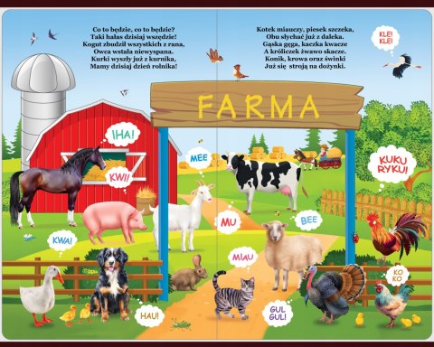 Książka dźwiękowa Zwierzęta na Farmie na Wsi 52 dźwięki Wieś Farma