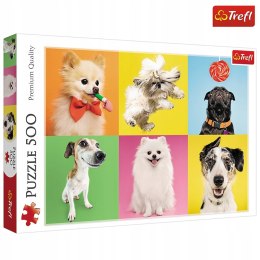 Puzzle 500 elementów Psy Pieski 37378 Trefl