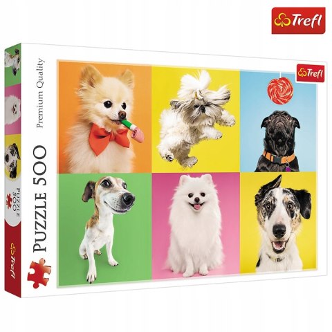 Puzzle 500 elementów Psy Pieski 37378 Trefl