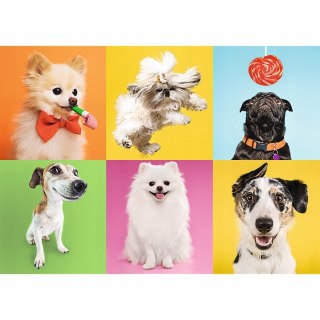 Puzzle 500 elementów Psy Pieski 37378 Trefl