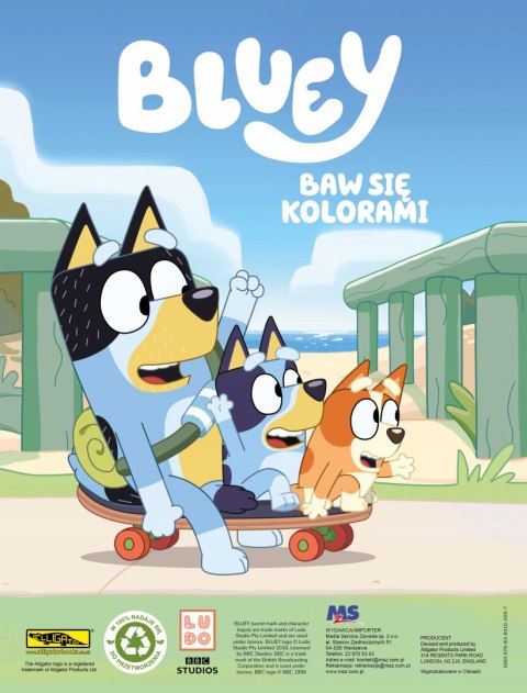 Bluey Magnesy Nieziemskie Przyciąganie 13 Magnesów Baw się Kolorami