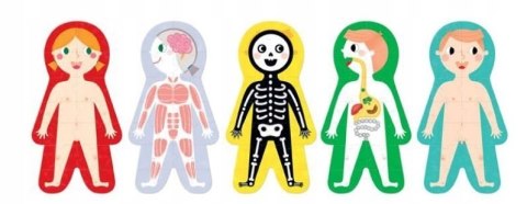 Puzzle CzuCzu Ale puzzle 84 elementów Moje ciało