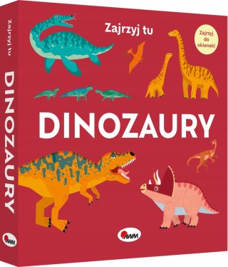 Książeczka z okienkami Zajrzyj tu Dinozaury Okienka