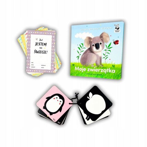 Mój pierwszy rok Zestaw dla malucha 0-12 miesięcy Kapitan Nauka