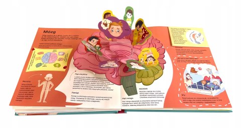 interaktywna książka o ciele dla dzieci