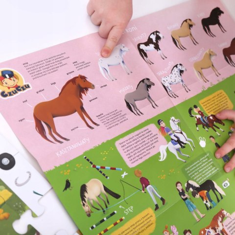 Puzzle Obserwacyjne Stadnina Koni CzuCzu 5+