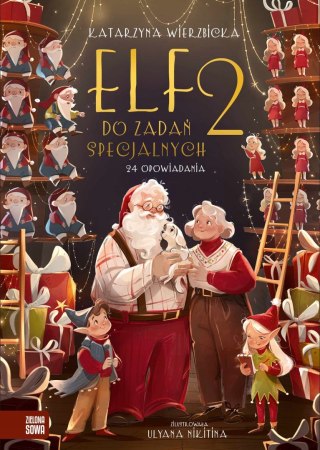 Elf do zadań specjalnych 2 Katarzyna Wierzbicka Zielona Sowa 24 Opowiadania