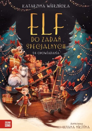 Elf do zadań specjalnych Katarzyna Wierzbicka Zielona Sowa 24 Opowiadania