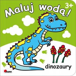 Maluj wodą! Dinozaury Wodna Kolorowanka Wodne