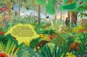Tajemnicza dżungla książka edukacyjna